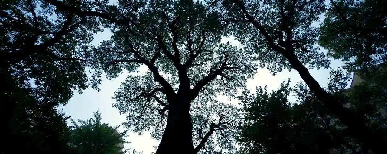 New York's $15M tree plan fights heat and injustice in one bold move